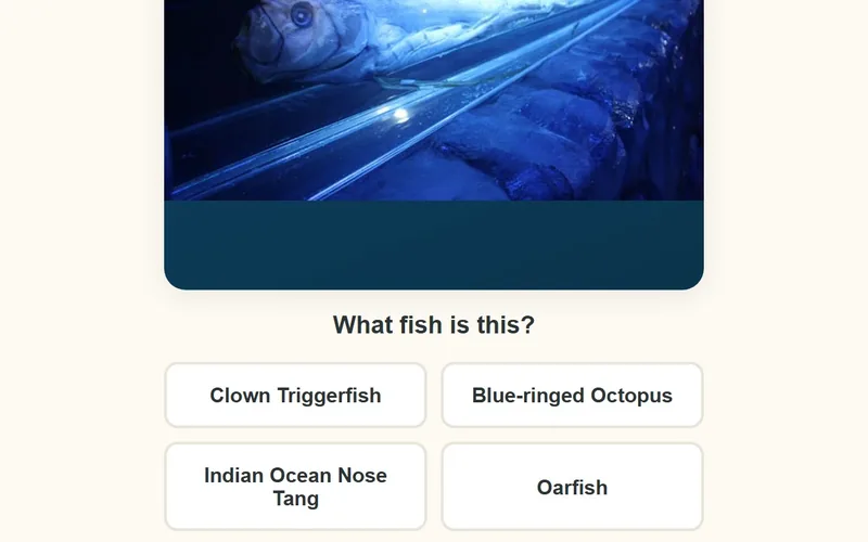 FishID 鱼鱼图鉴 screenshot